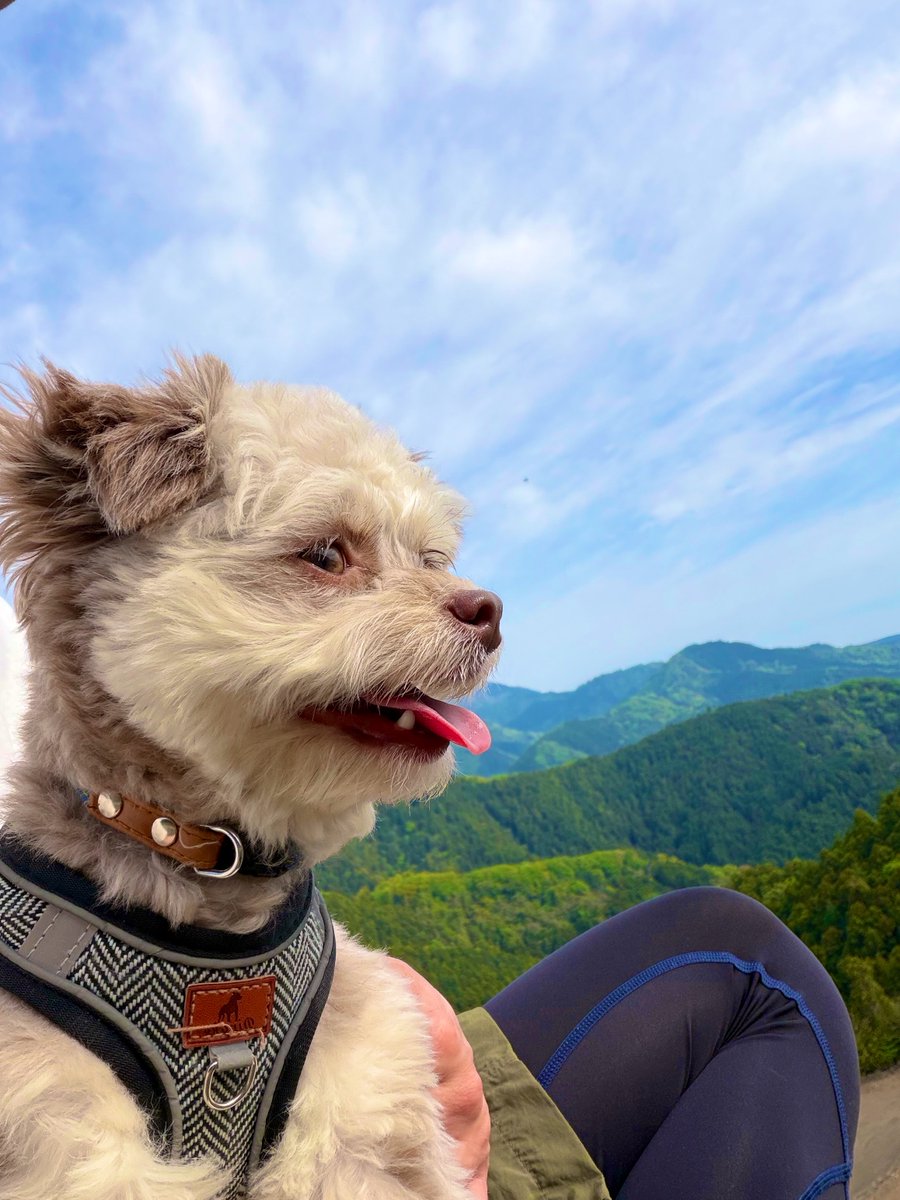 なおき tweet media