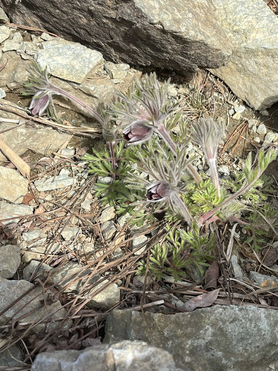 ゆーすけ tweet media