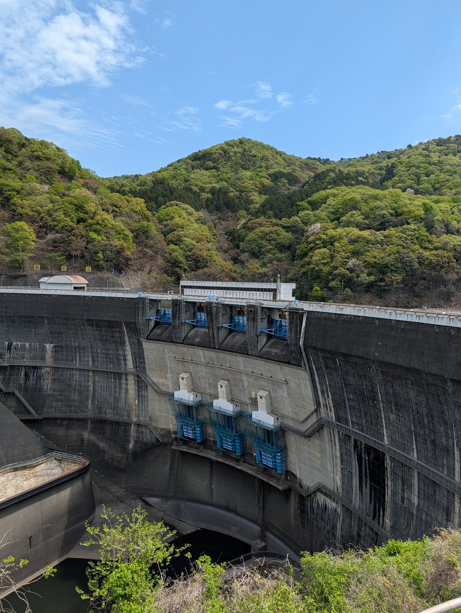 金玉鳳隊静苑🟡🍊 tweet media