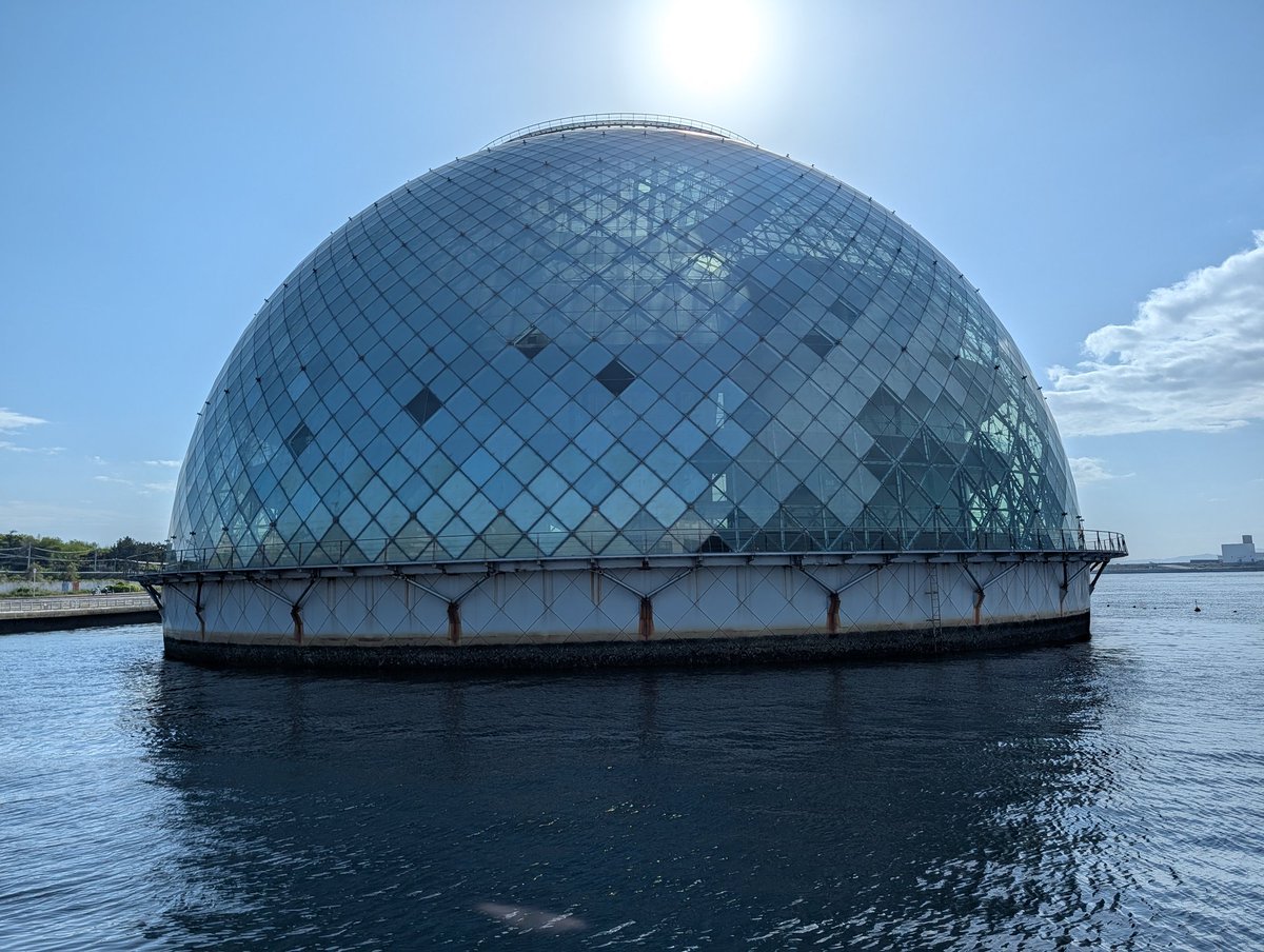 金玉鳳隊静苑🟡🍊 tweet media