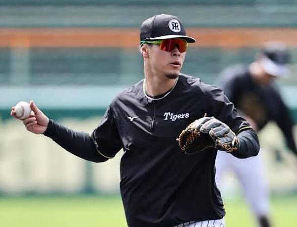 🐯トラリスト🐯 tweet media