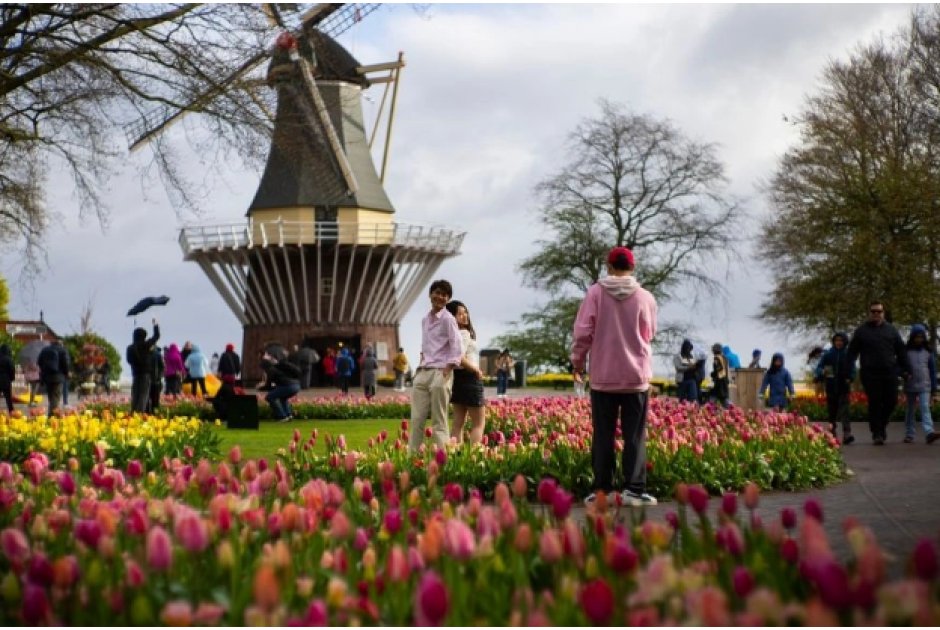 Ant1Live's tweet image. Αναμένονται εκατομμύρια επισκέπτες
🔗: f.mtr.cool/anhujozekn

📲 Κατεβάστε την εφαρμογή ΑΝΤ1 Live 

#Ant1livenews #Newsfeed #News #WorldNews #InternationalNews