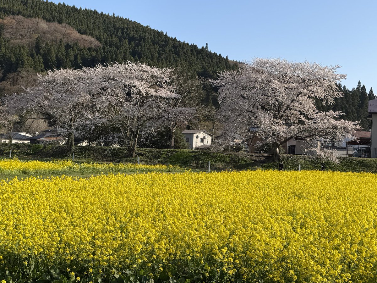 ひらの＠保険募集人の集客の悩みを営業戦略でサポートする人 tweet media