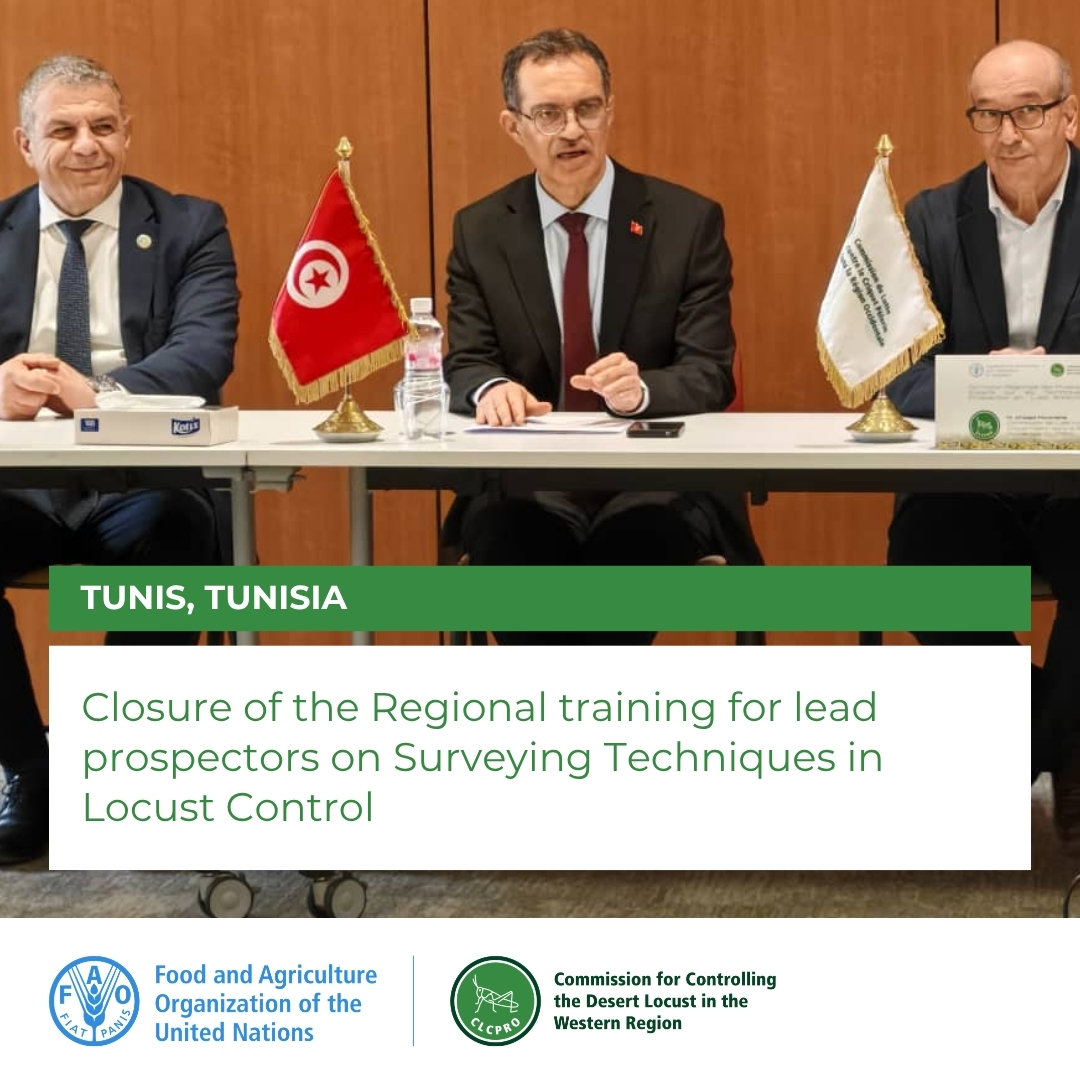 FAOCLCPRO's tweet photo. The Minister of Agriculture 🇹🇳 expressed his appreciation and gratitude to #CLCPRO for its achievements and support, reaffirming Tunisia’s commitment to providing long-term support for preventive measures against the Desert Locust in the region.

#FoodSecurity #LocustControl https://t.co/u31MBGz082