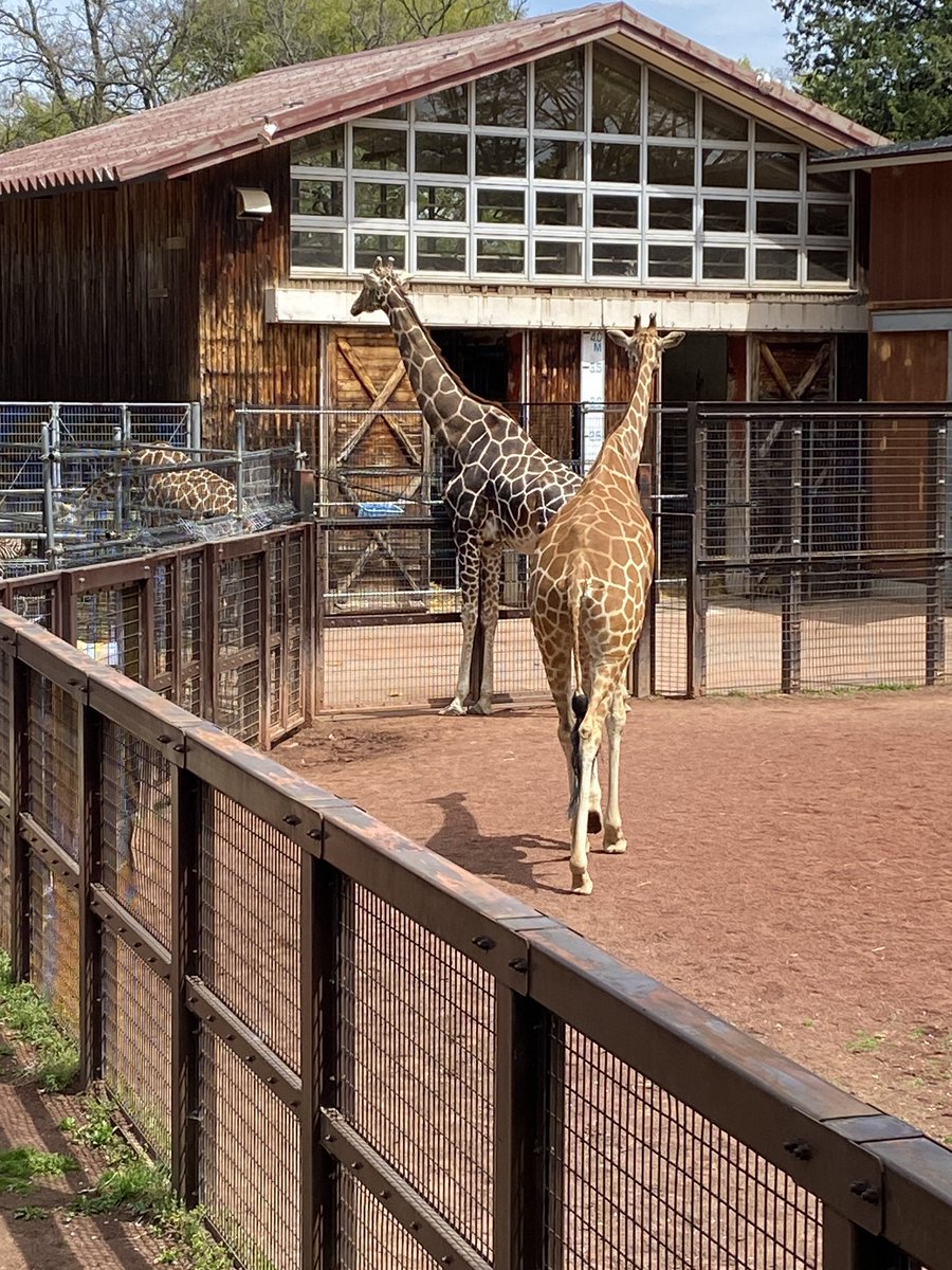 ブラックコーヒー 〜黒い悪魔〜 tweet media