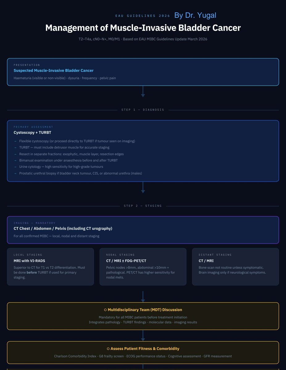 yugalnepal's tweet image. EAU guidelines 2026 on MIBC in an algorithm.
#MIBC #EAUguidelines #urology