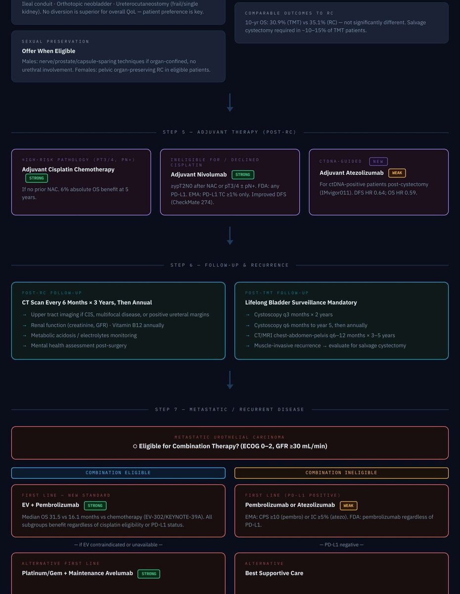 yugalnepal's tweet image. EAU guidelines 2026 on MIBC in an algorithm.
#MIBC #EAUguidelines #urology