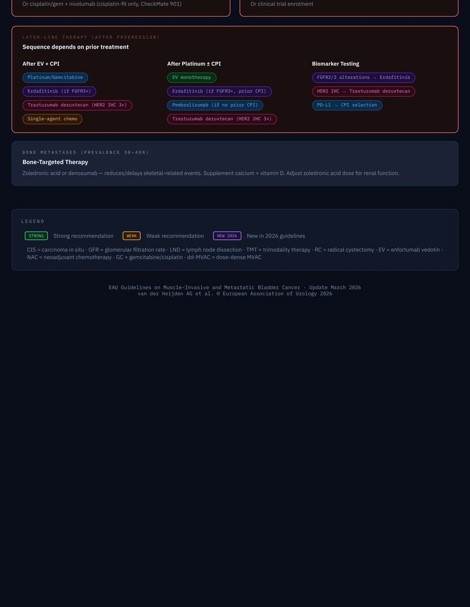 yugalnepal's tweet image. EAU guidelines 2026 on MIBC in an algorithm.
#MIBC #EAUguidelines #urology