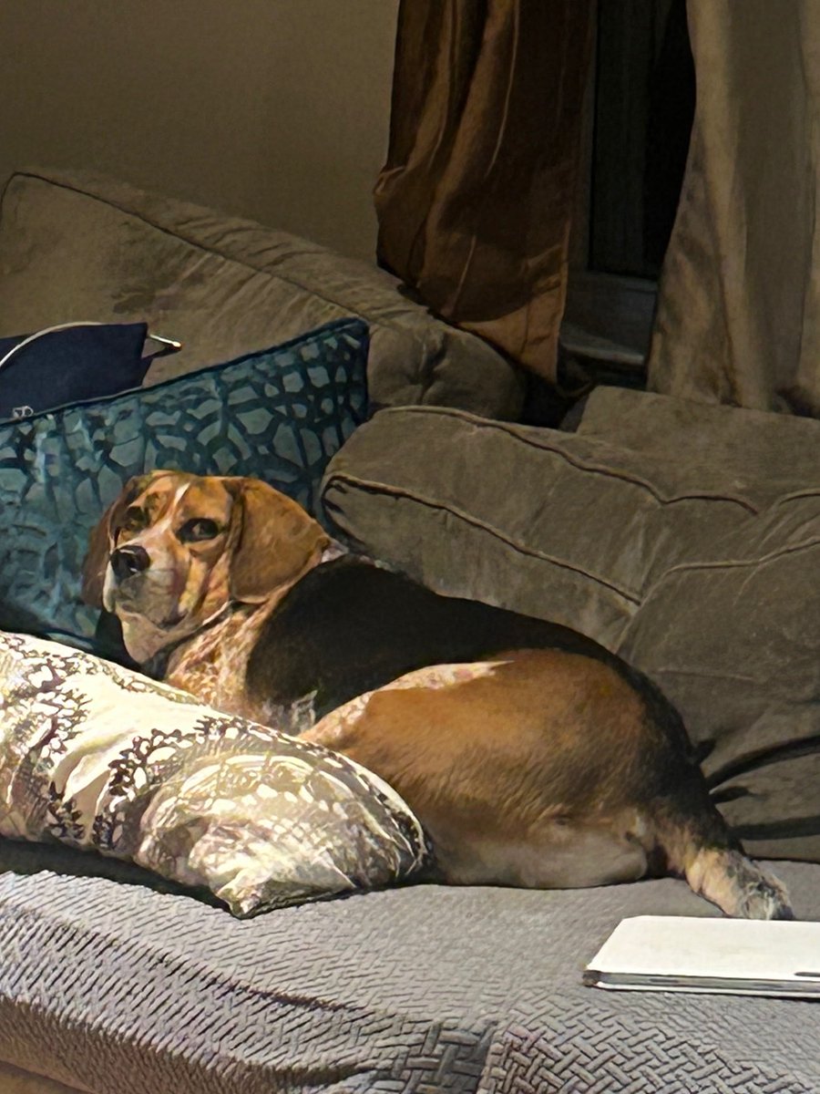 echan the emoji man tweet media