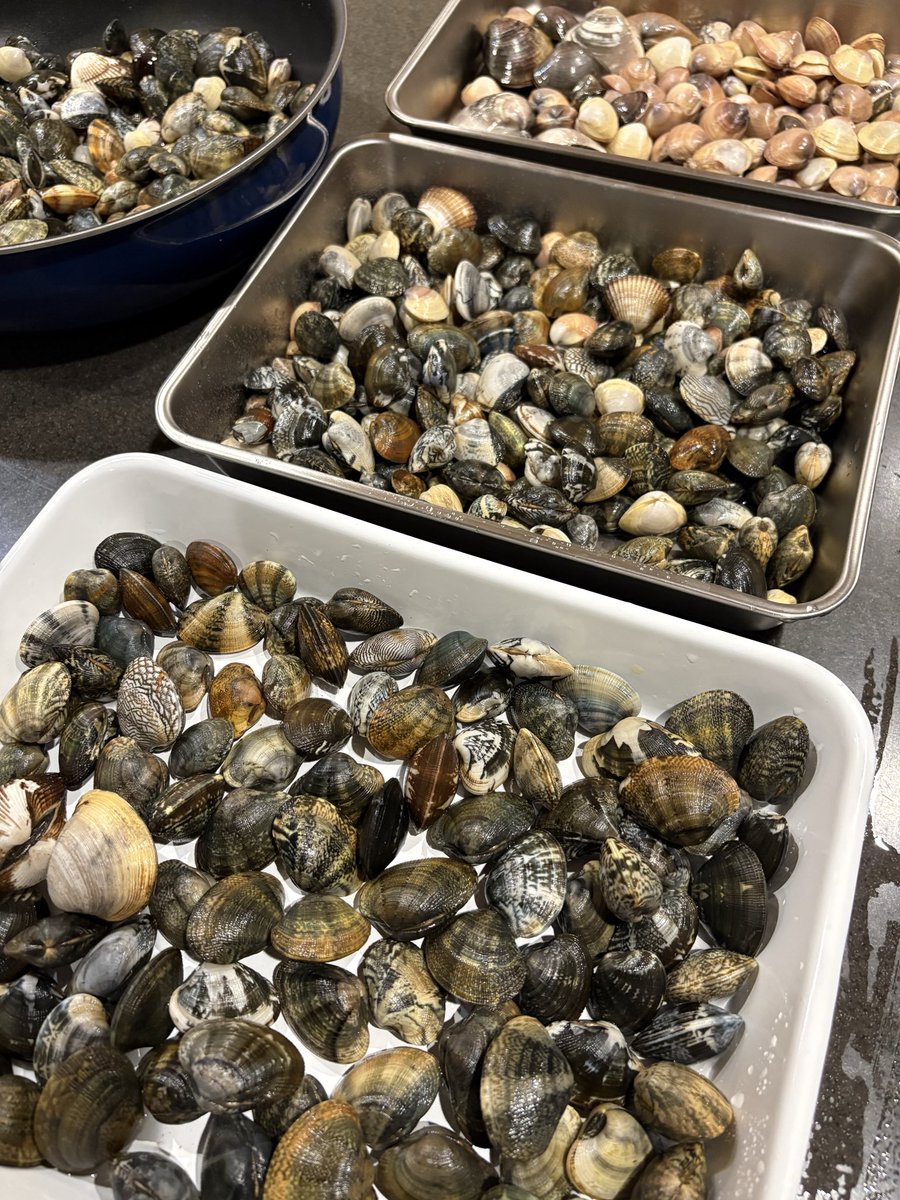 しらすと私 tweet media