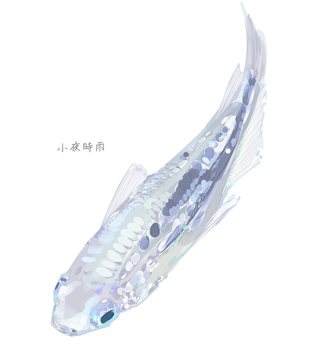 チルファ tweet media