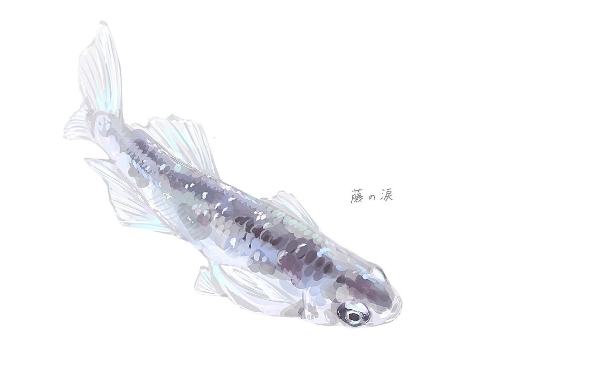 チルファ tweet media