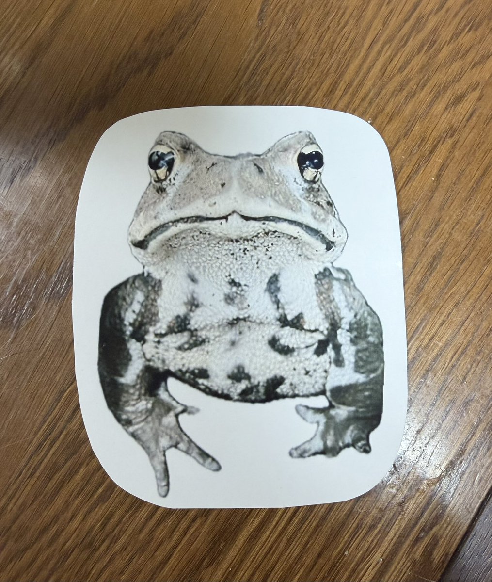 wombat_yu tweet media