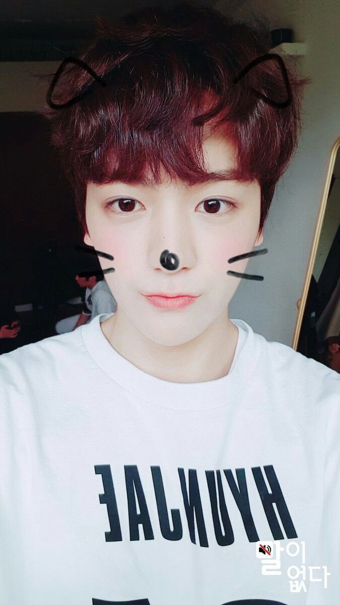 yon (@zuonment) / Posts / X