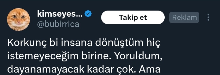 A.Zaim tweet media