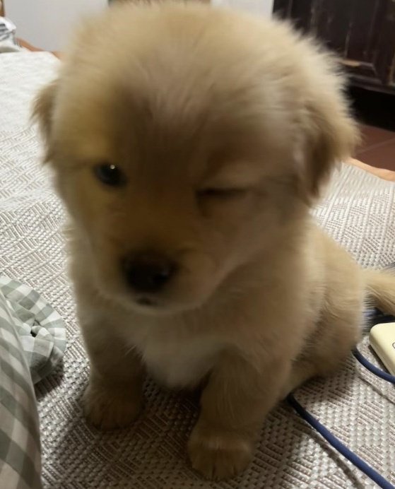 🐣 ft.ม๋าบ้อกแบ้กᡣ𐭩ᵕ̈ tweet media