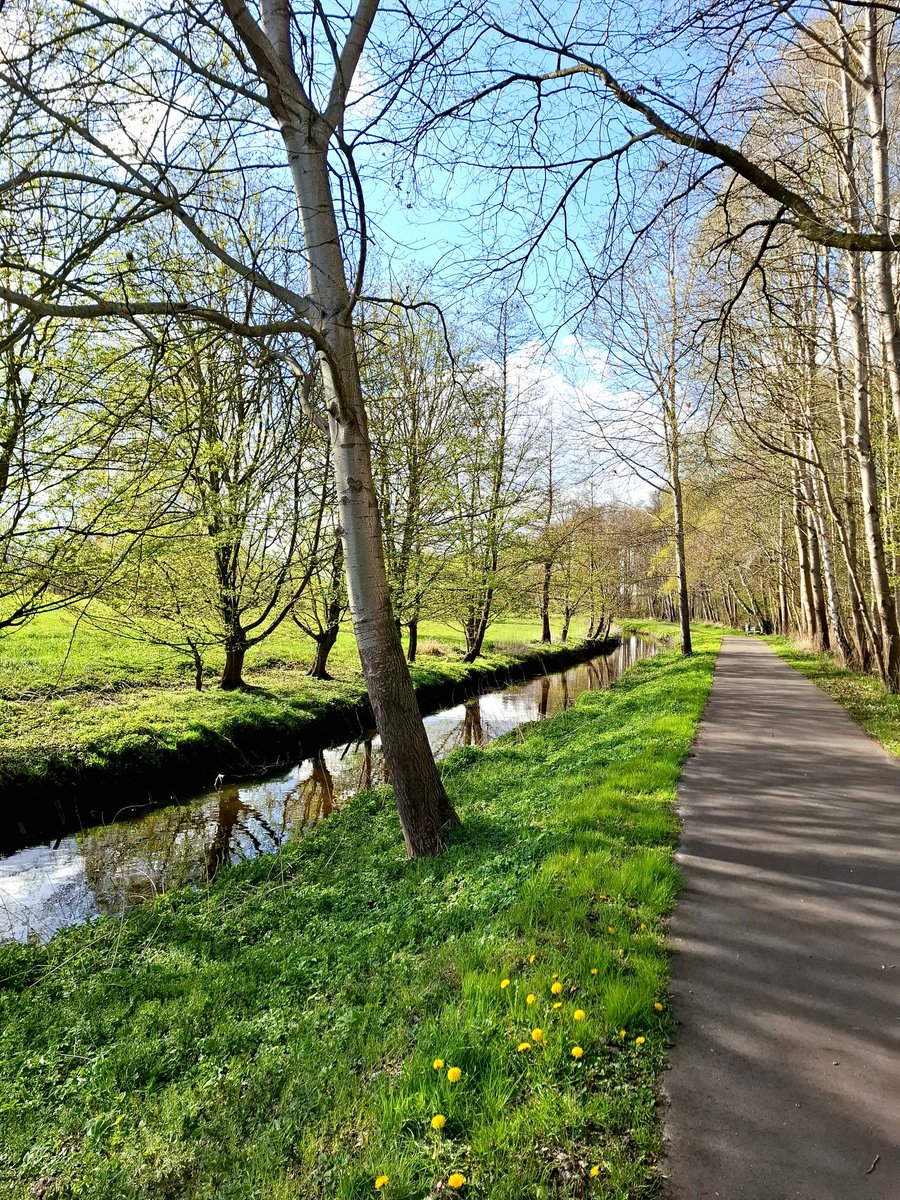 chriz31_07's tweet image. Slow Sunday 🍃🌊

Share your photo from today
or one from your gallery.

A calm moment, a peaceful view..

What does your Slow Sunday look like?

#SlowSunday #SundayVibes