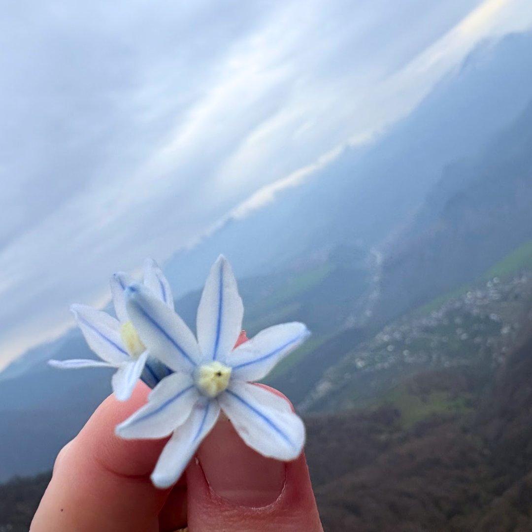 unicattl's tweet photo. Side quest completed: “Go outside and touch grass” 🌿✔️

It was harder than expected, but the views were worth it 😄

Dropping a few photos from the hike 👇 https://t.co/zxY6TDMN28