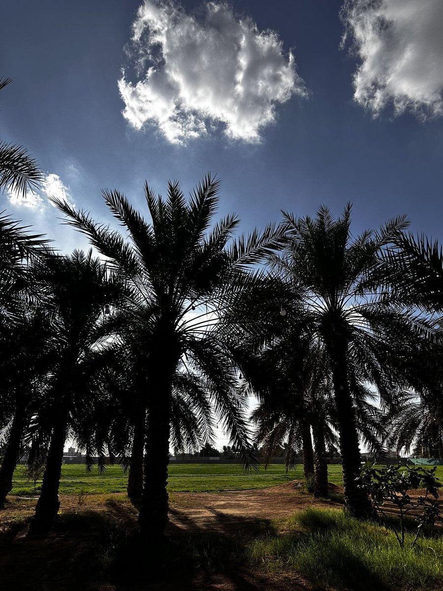 ‏ فالكون tweet media