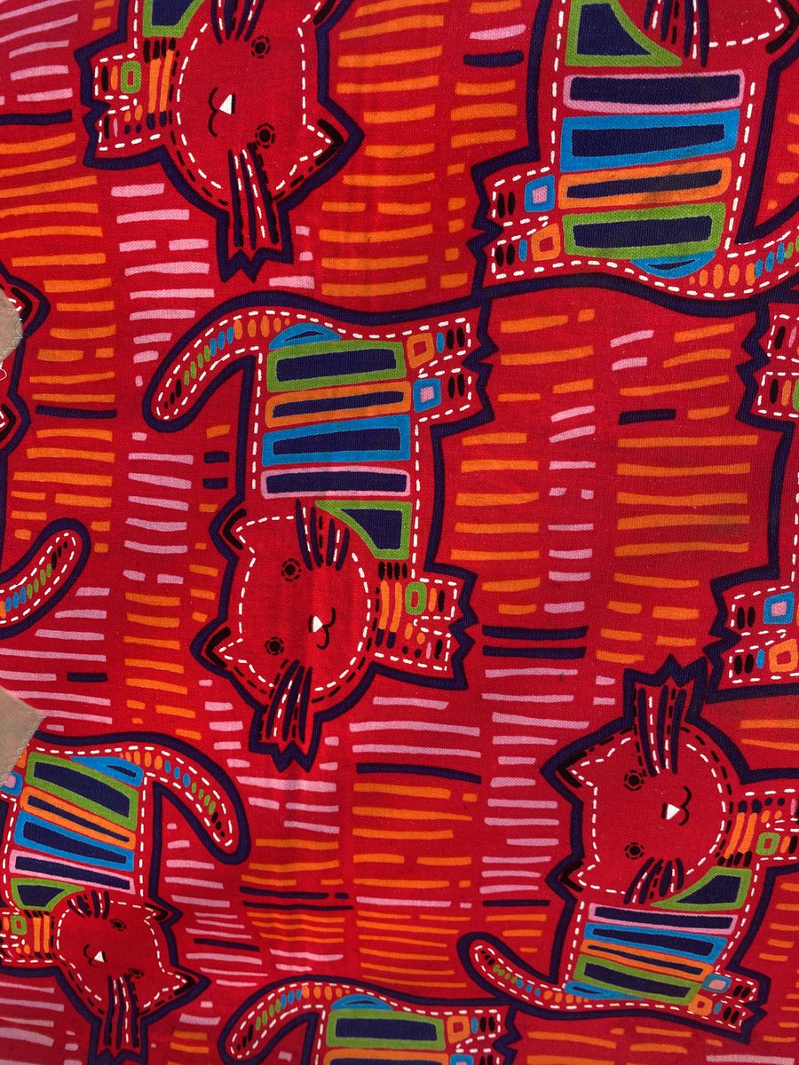 🌲ばる🌿 tweet media