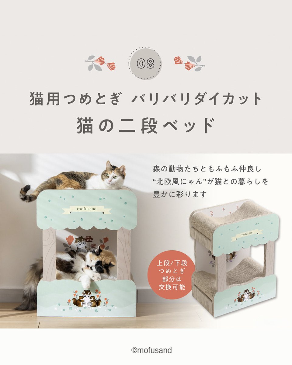 猫壱（necoichi）公式 (@necoichicojp) / Posts / X