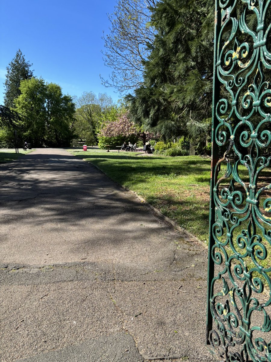 Lois,a Cat & GSD lover, Far Right apparently 🤷‍♀️ tweet media