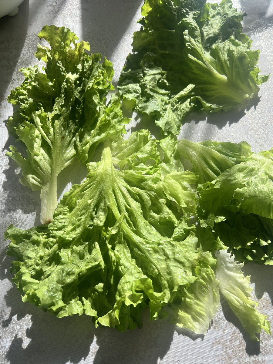 ! Bayas ™ tweet media