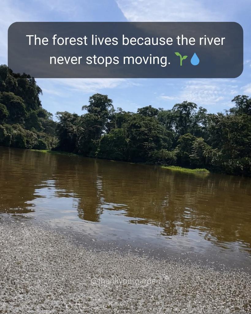 FranticKL's tweet photo. #Stoplogging #stopdeforestation
#stopburningtoclearforests https://t.co/KzUyl45h1h