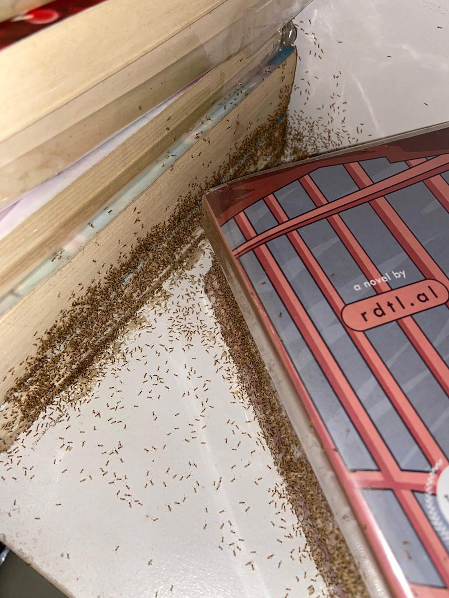 pfaa 📖 tweet media