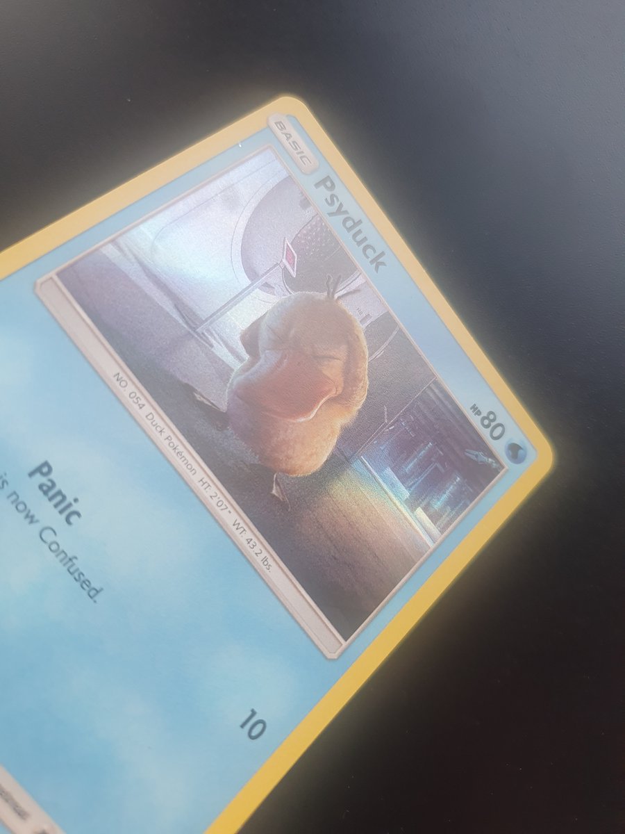 N22 CUSTOMS tweet media