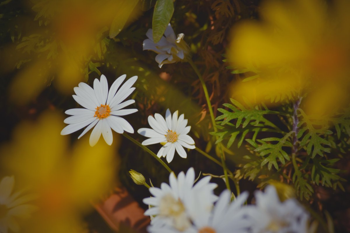 お ま め ☺︎ tweet media