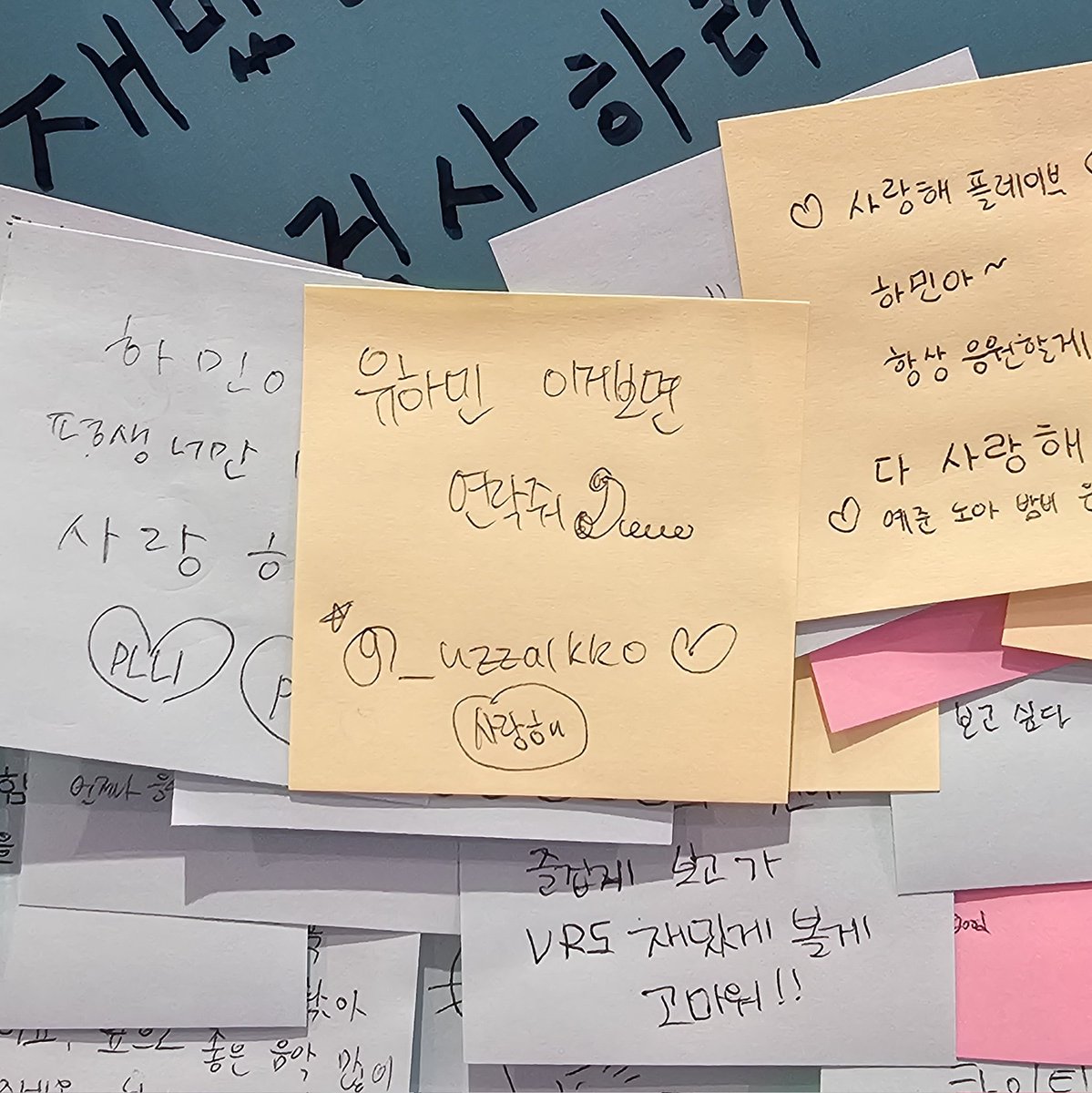 우짤꼬 tweet media