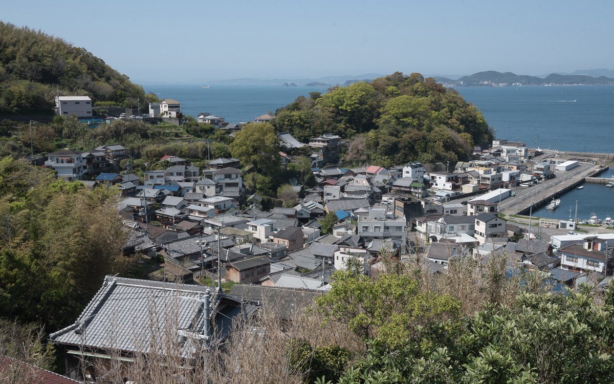 みずなし tweet media