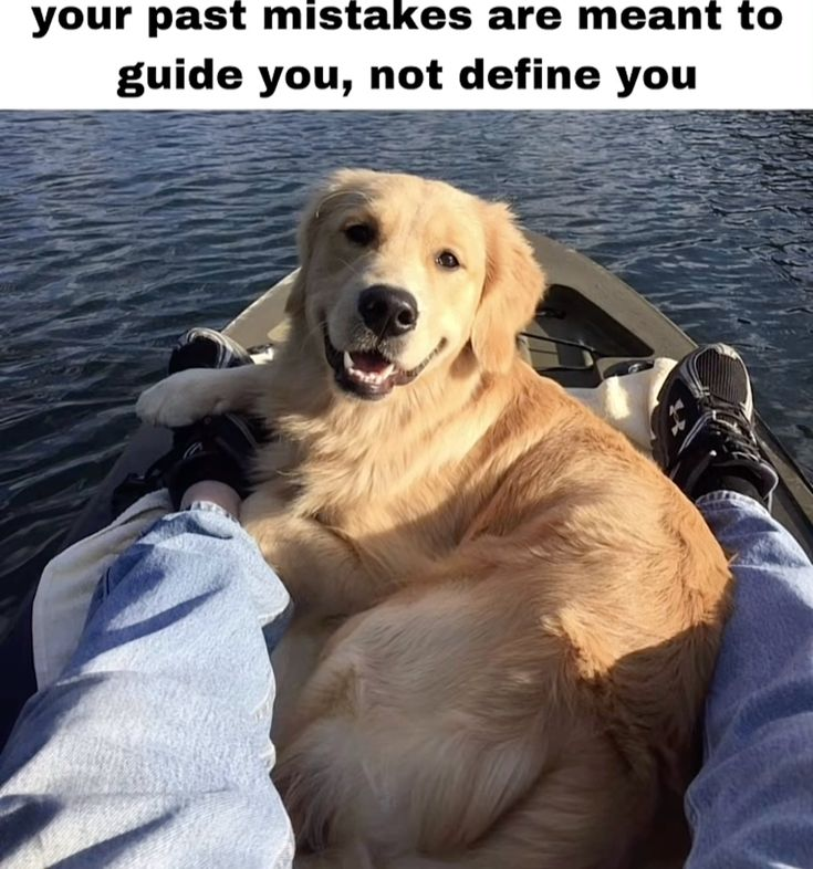 Dog (@DoggyPosting) on X