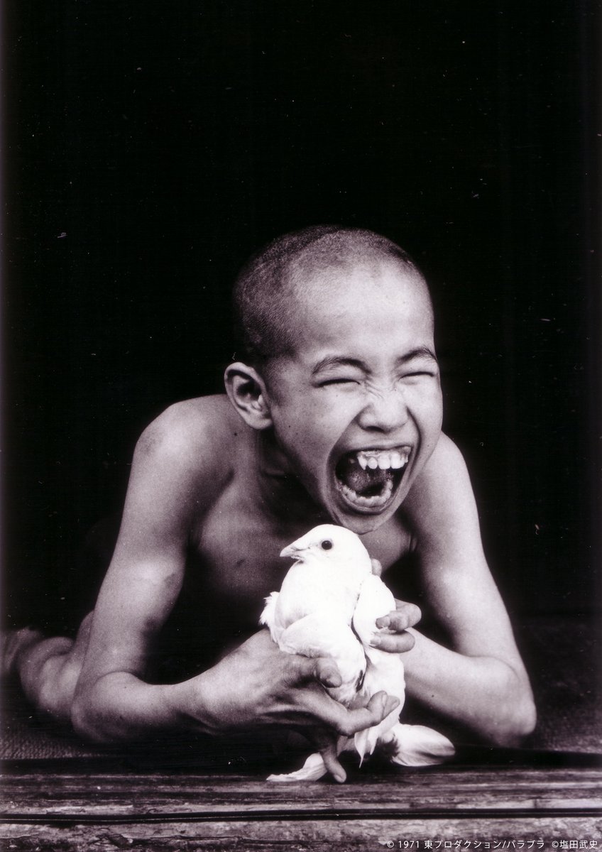【𝟒/𝟐𝟓㊏～𝟓/𝟏㊎上映作品】

『水俣 －患者さんとその世界－＜完全版＞』
監督：土本典昭

1969年、チッソを相手に裁判を起こした水俣病患者29世帯を中心に、告発の運動は東京へ、そして全国に支援の輪をひろげていった――。水俣病を世界に知らしめることになった記録映画の記念碑的名作。