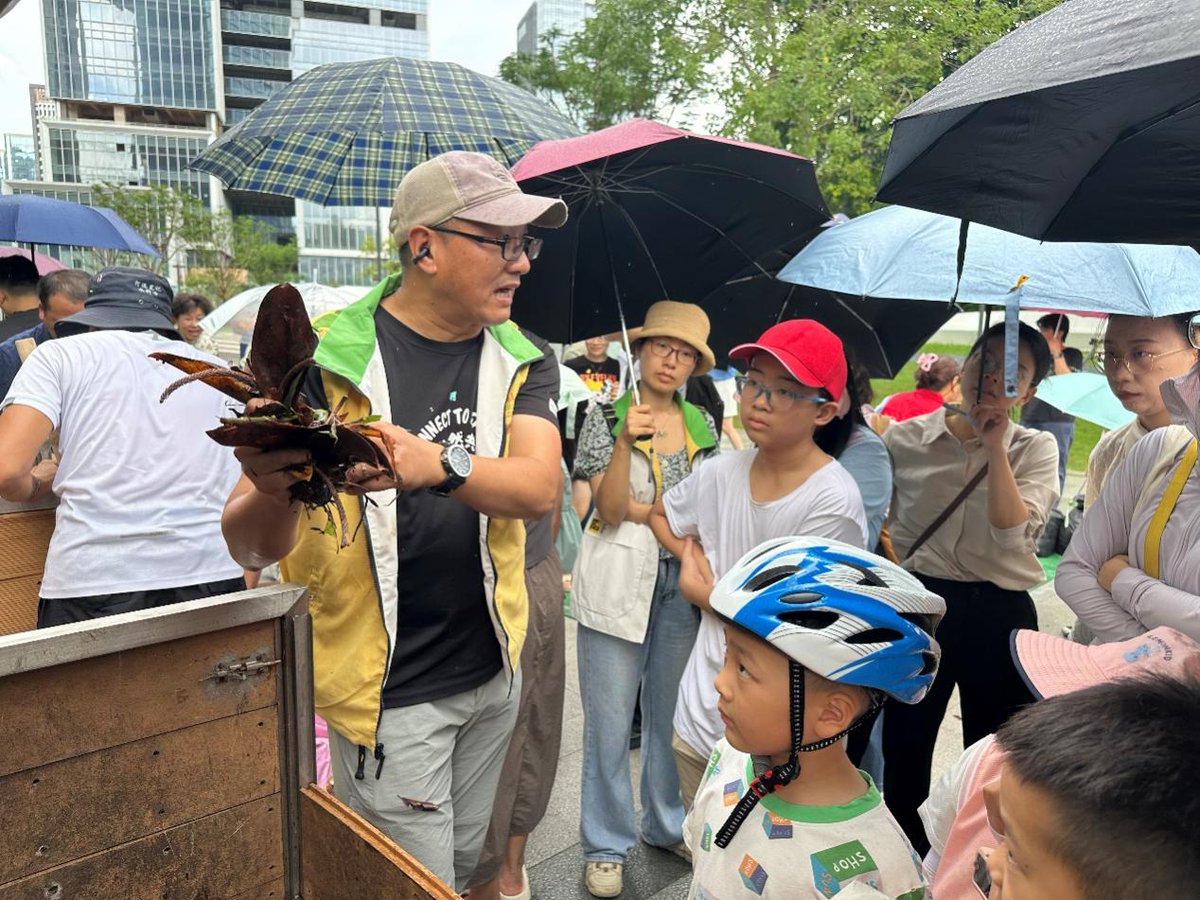 XAVIER ROCHA tweet media