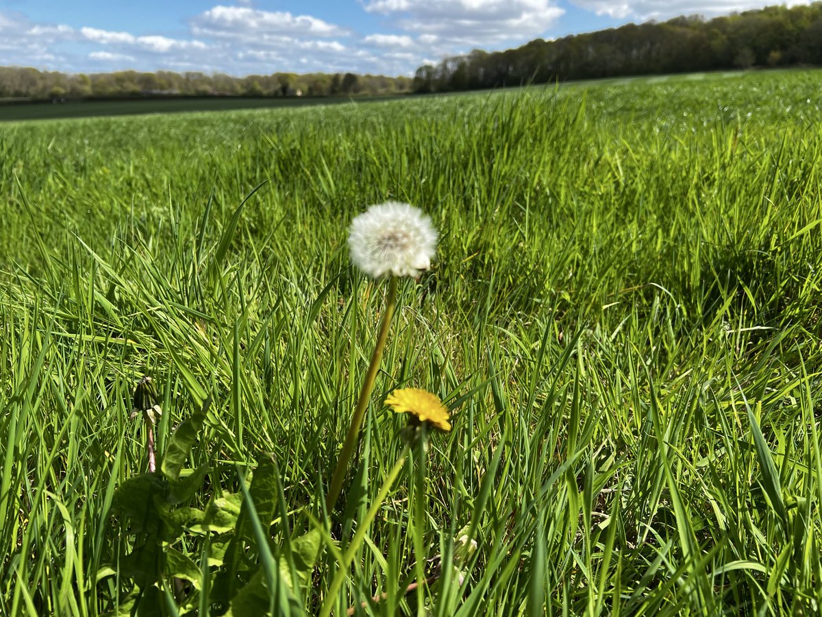 bir08967383's tweet image. Lost in spring’s spell 🌸✨
#SpringVibes