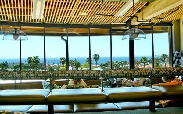 R🪴bert Slavey tweet media