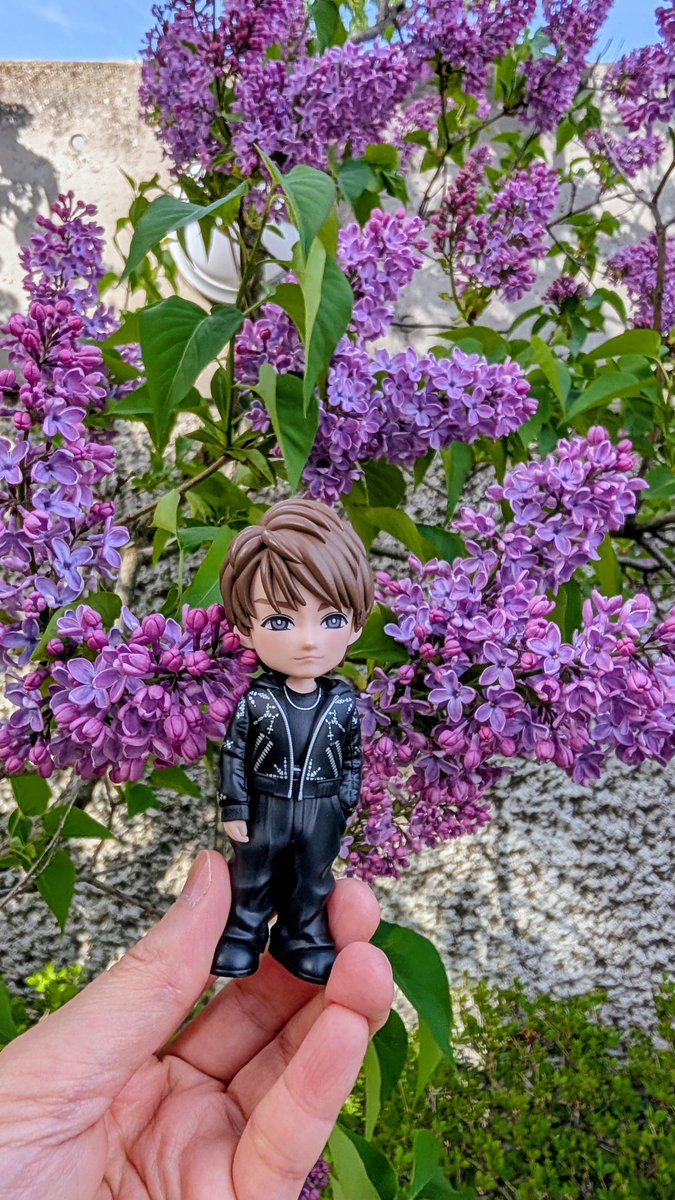 sora_no_maho_5's tweet image. 岸くん四葉のお返しに紫ライラックを💜
通常は花びら4枚だけど
稀にある花びら5枚はハッピーライラックといって幸運に恵まれるらしい…が探したけどなかった
しかも！見つけても人に言ったら幸運逃すんだって😂
密かに探して幸運独り占めしてください笑

🔗open.spotify.com/track/2oqssJEo…

⬆️ #Recipe と共に