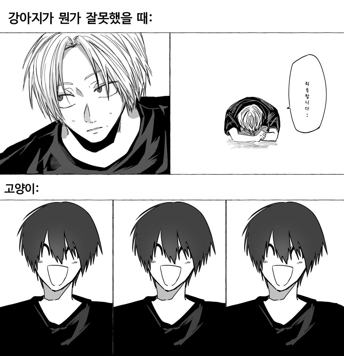 나구신 강아지와 고양이의 차이점