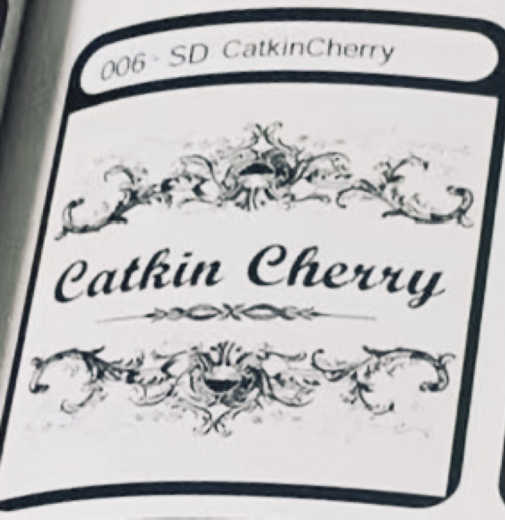 𝓜𝓪𝓴𝓸𝓽𝓸 🥯【006-SD】ドルパ tweet media