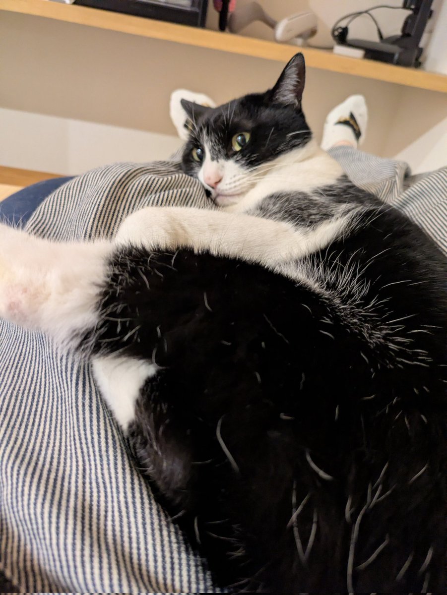 ◯パショ子🔴 tweet media