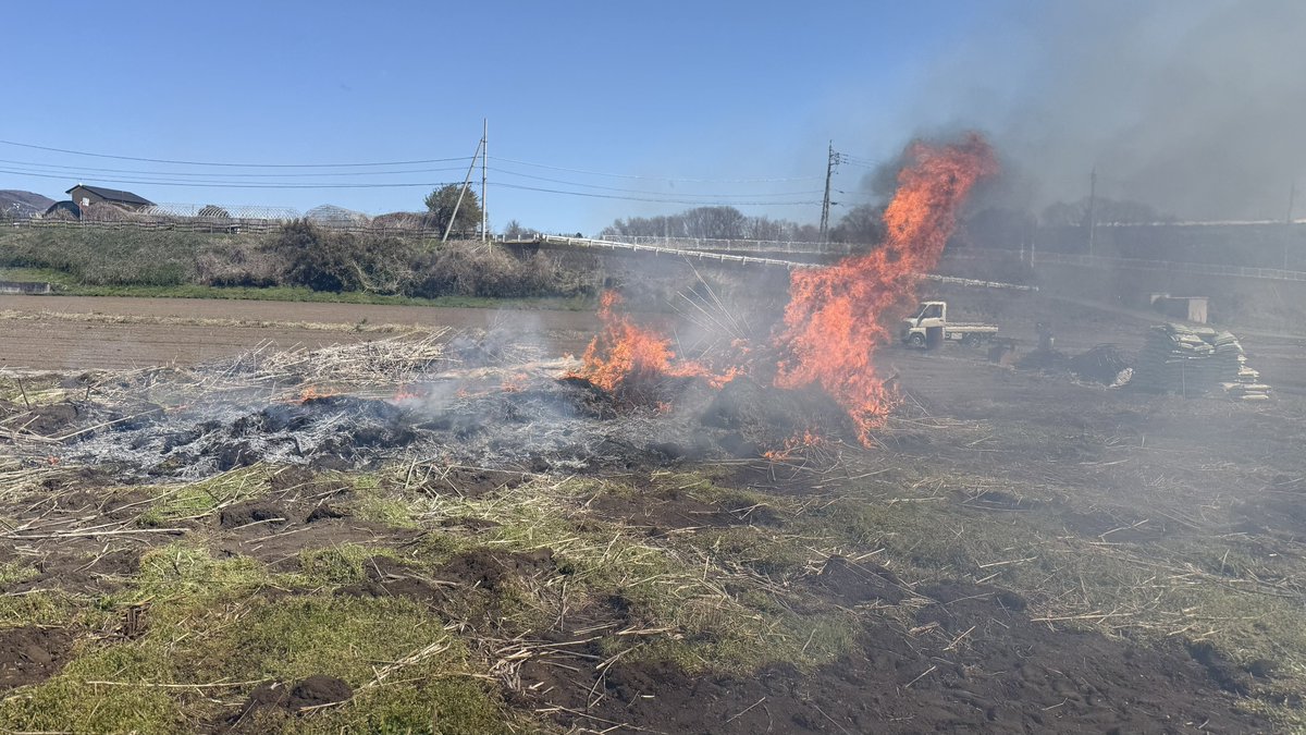 今日はトラクターを運転したり
枯れ草を燃やすなど