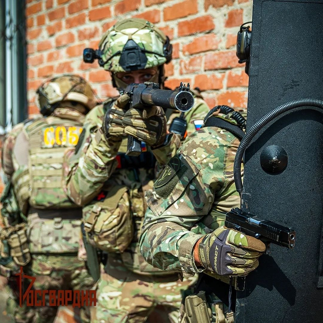 TheGreyPatriot tweet media