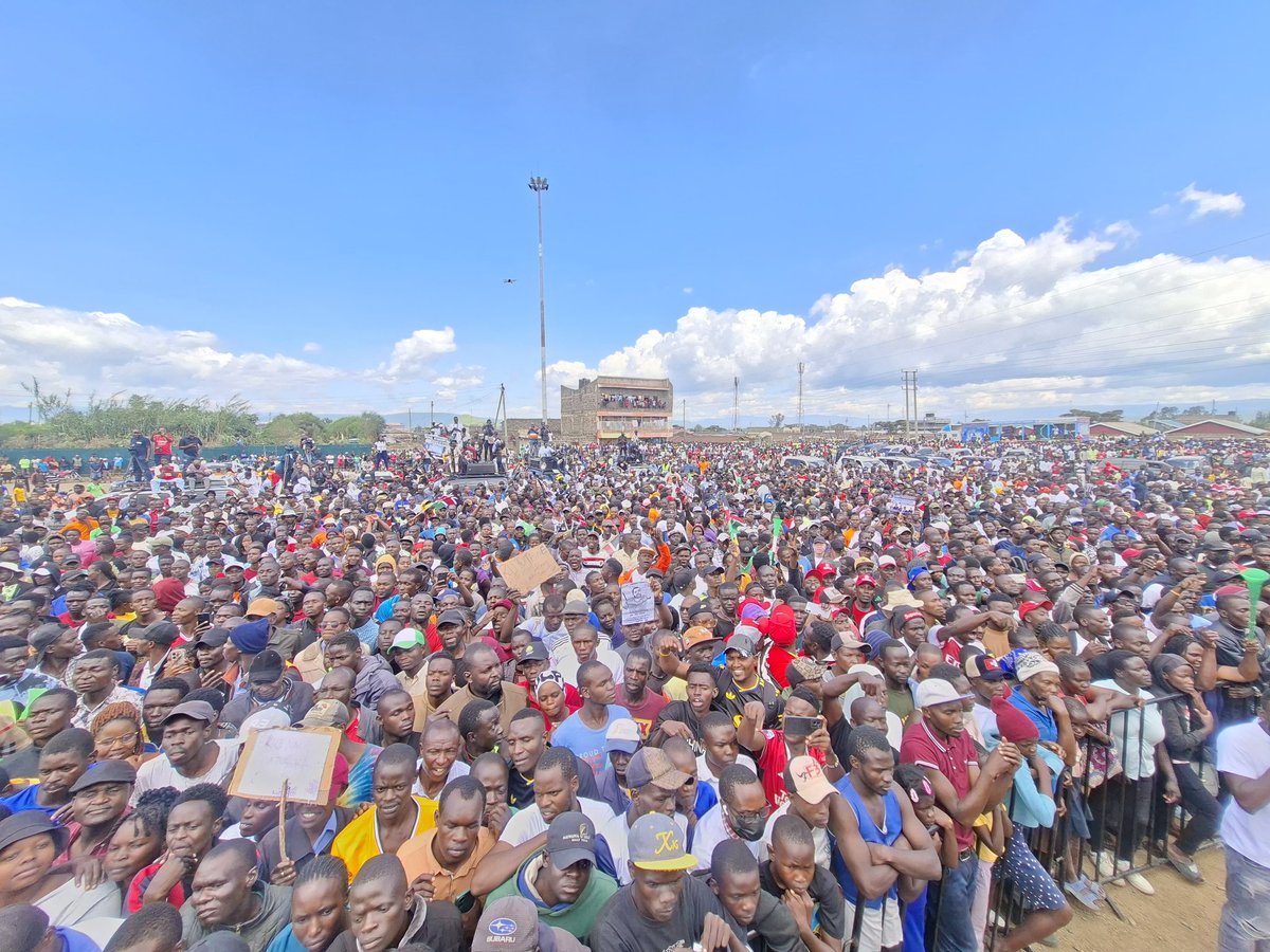 ℝ𝕒𝕡𝕦𝕕𝕠🦎 tweet media