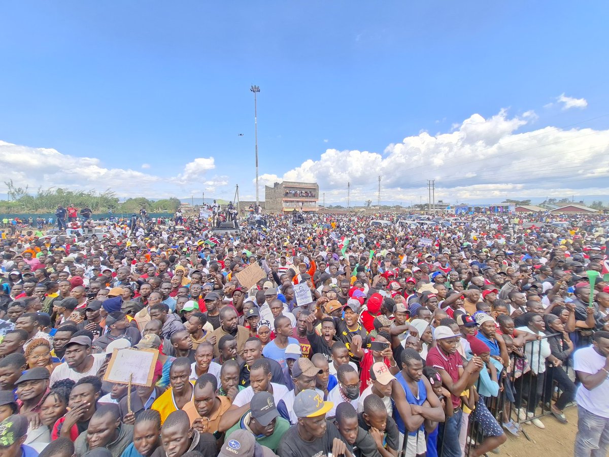 ℝ𝕒𝕡𝕦𝕕𝕠🦎 tweet media