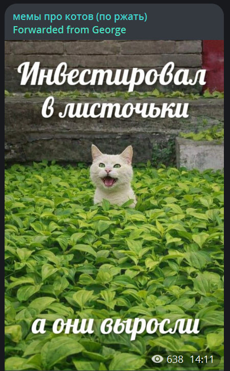 MULTIP~2.TXT tweet media