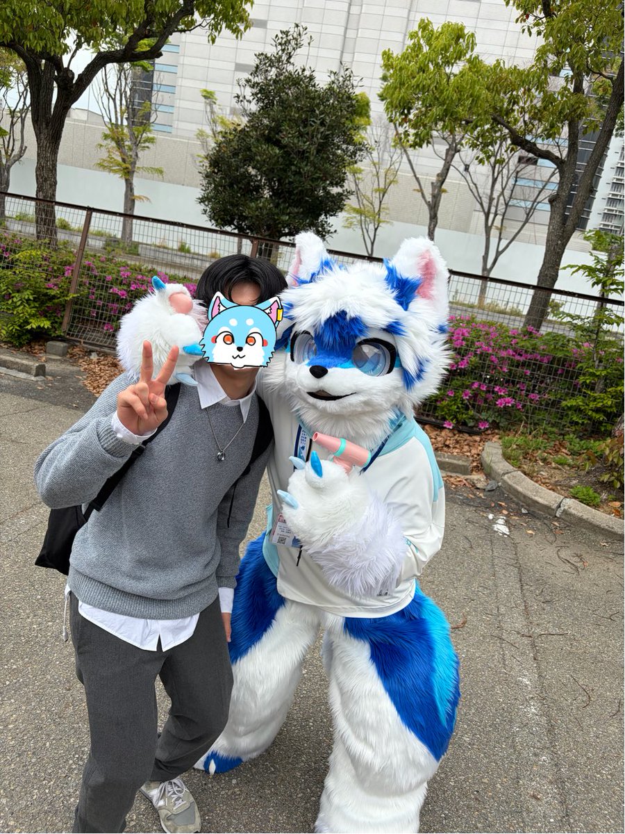 えむ tweet media