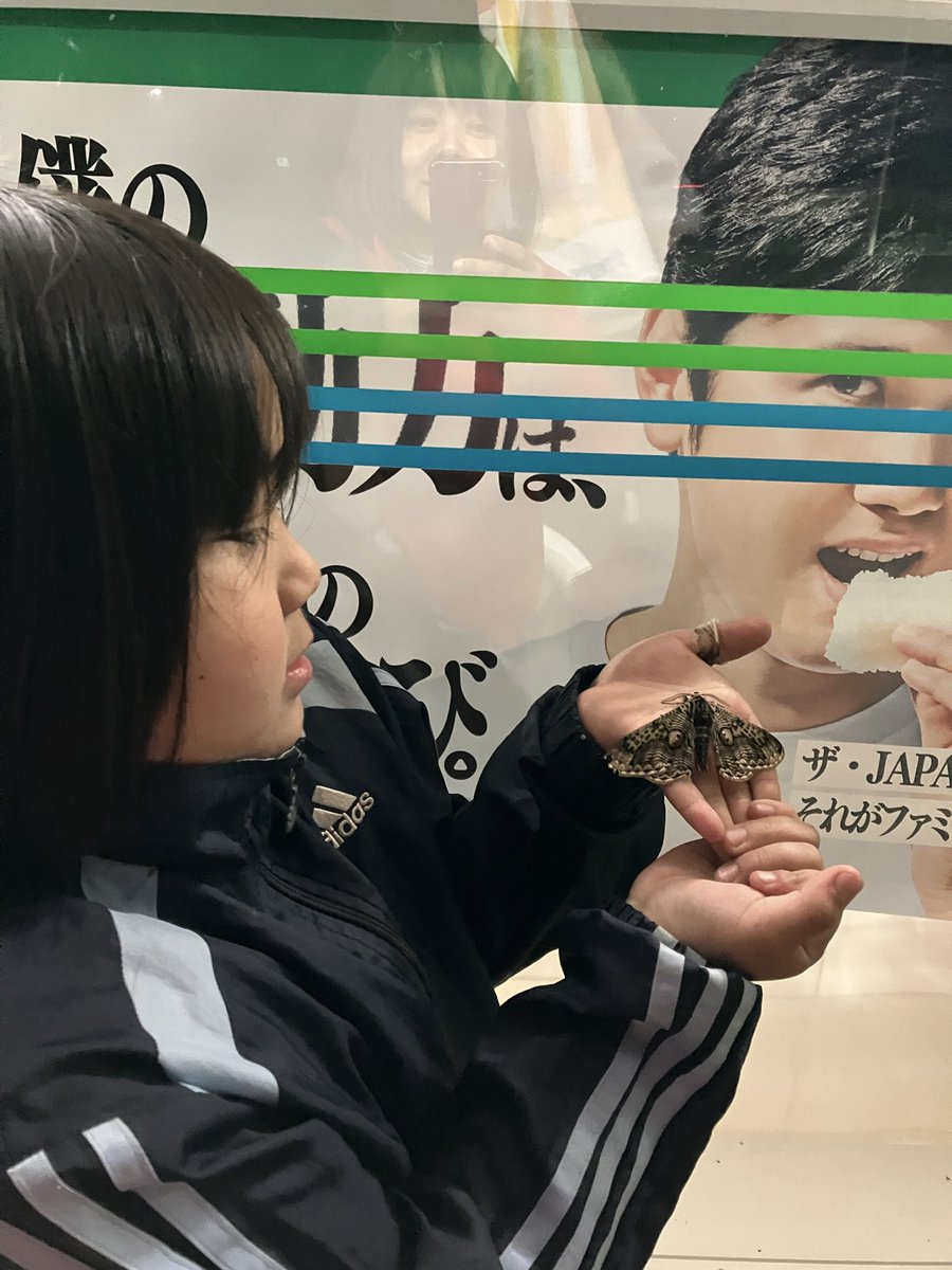 かなた昆虫採集中 tweet media