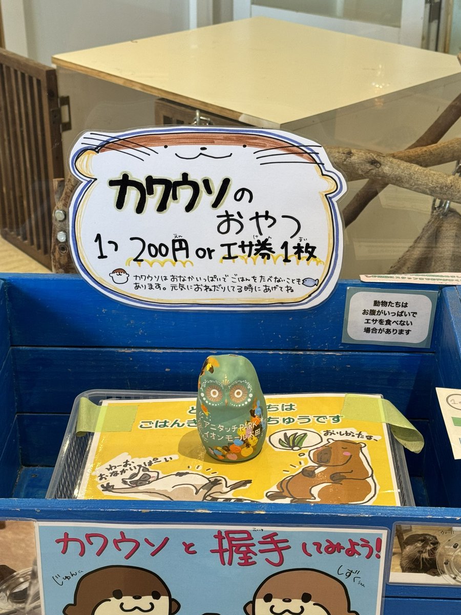 ミミズク